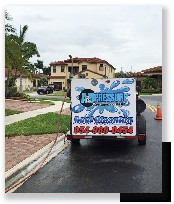 Roof Cleaning