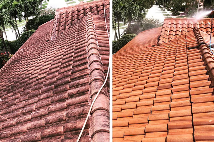 Roof Cleaning Services in New Boston TX