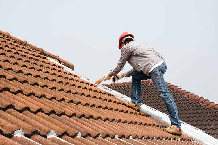 Now Available Roof Repair Services