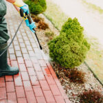 Expert Paver Cleaning and Sealing By A&D