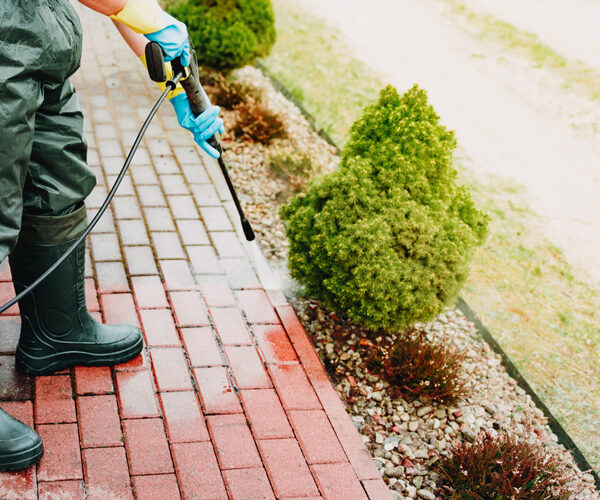 Expert Paver Cleaning And Sealing By A&d
