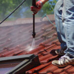 Signs You Need a Professional Roof Cleaning