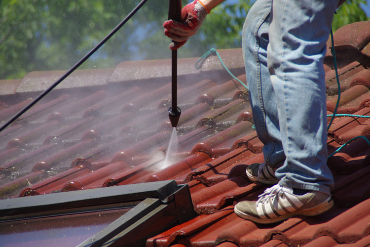 Signs You Need A Professional Roof Cleaning
