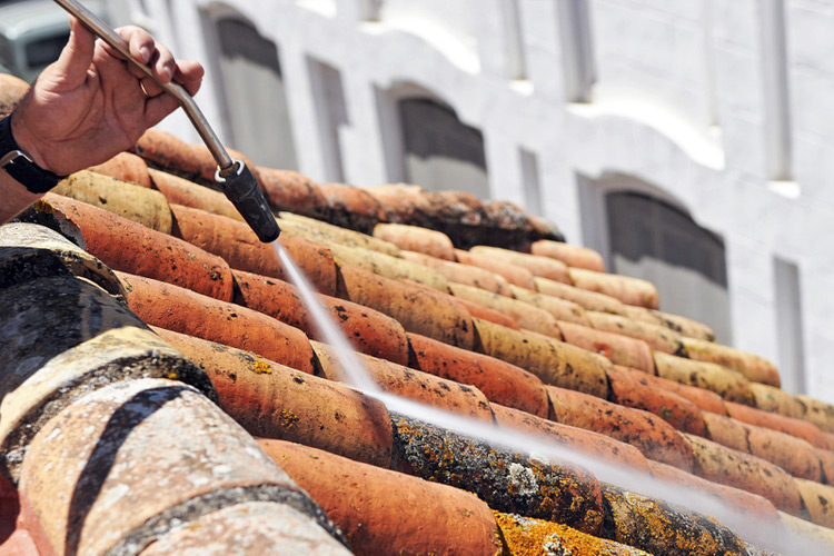 Reasons To Get Professional Roof Cleaning