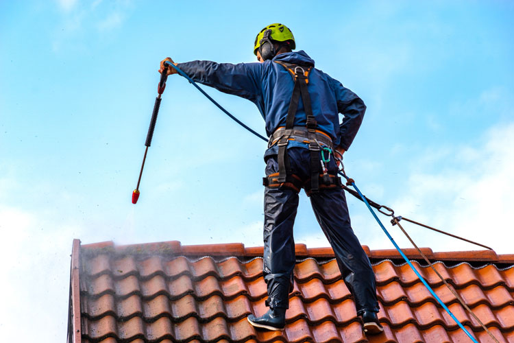 Needing a Roof Cleaning